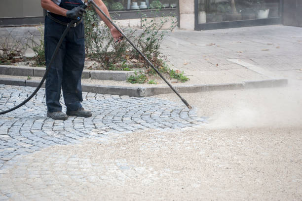 Best Sidewalk and Walkway Cleaning  in Crestview, FL